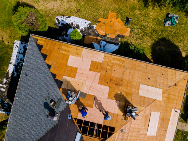 Best Roof Gutter Cleaning  in Pantego, TX