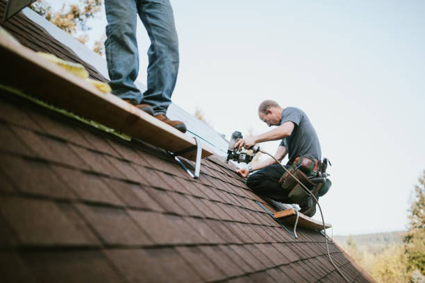 Quick and Trustworthy Emergency Roof Repair Services in Pantego, TX